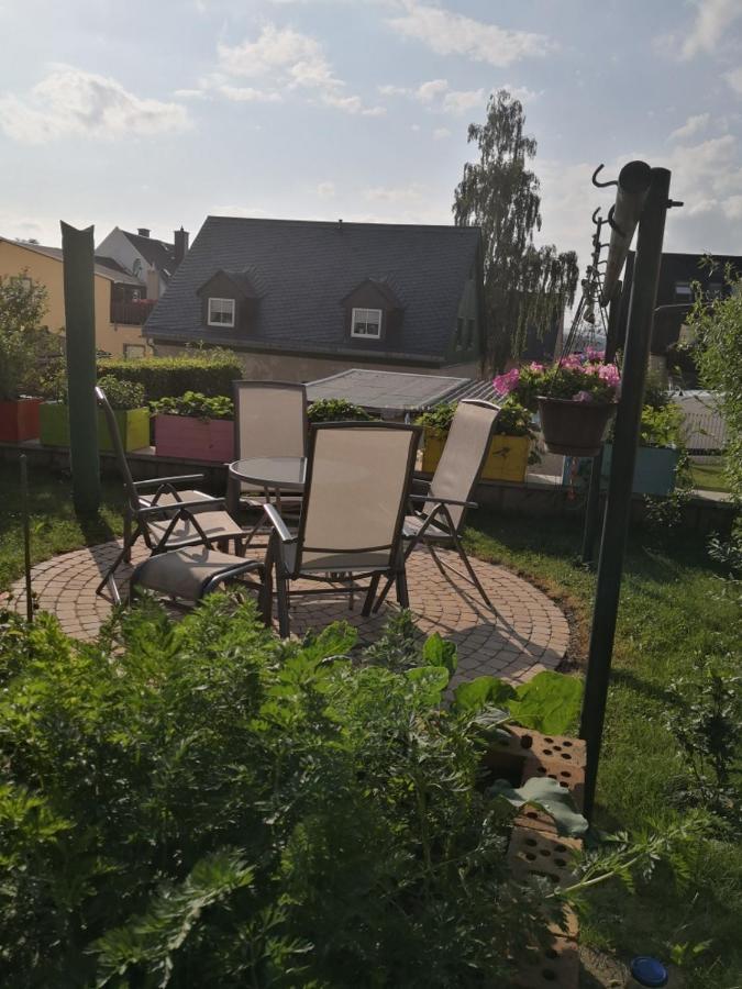 Ferienwohnung Winzer アンベルク・ブッフホルツ エクステリア 写真